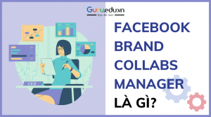 facebook brand collabs là gì