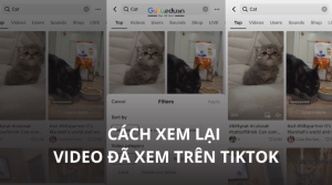 Làm thế nào để xem lại video đã xem trên TikTok?